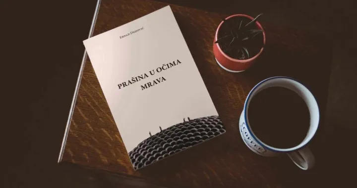 Unutarnji dnevnik mladog čovjeka/