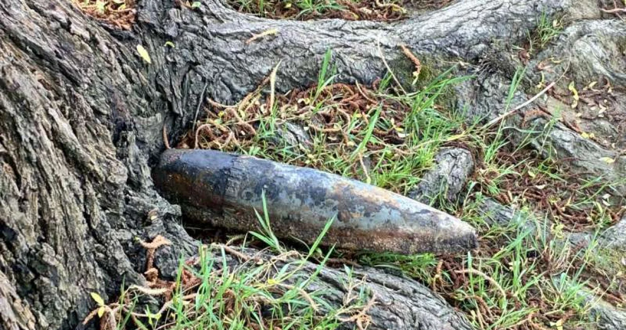 Izvukli granatu/Fena//