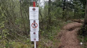 Curine njive klizište ilustracije/Senad Gubelić