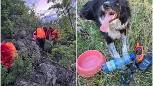 Još jedna uspješna akcija/GSS BiH/Facebook//