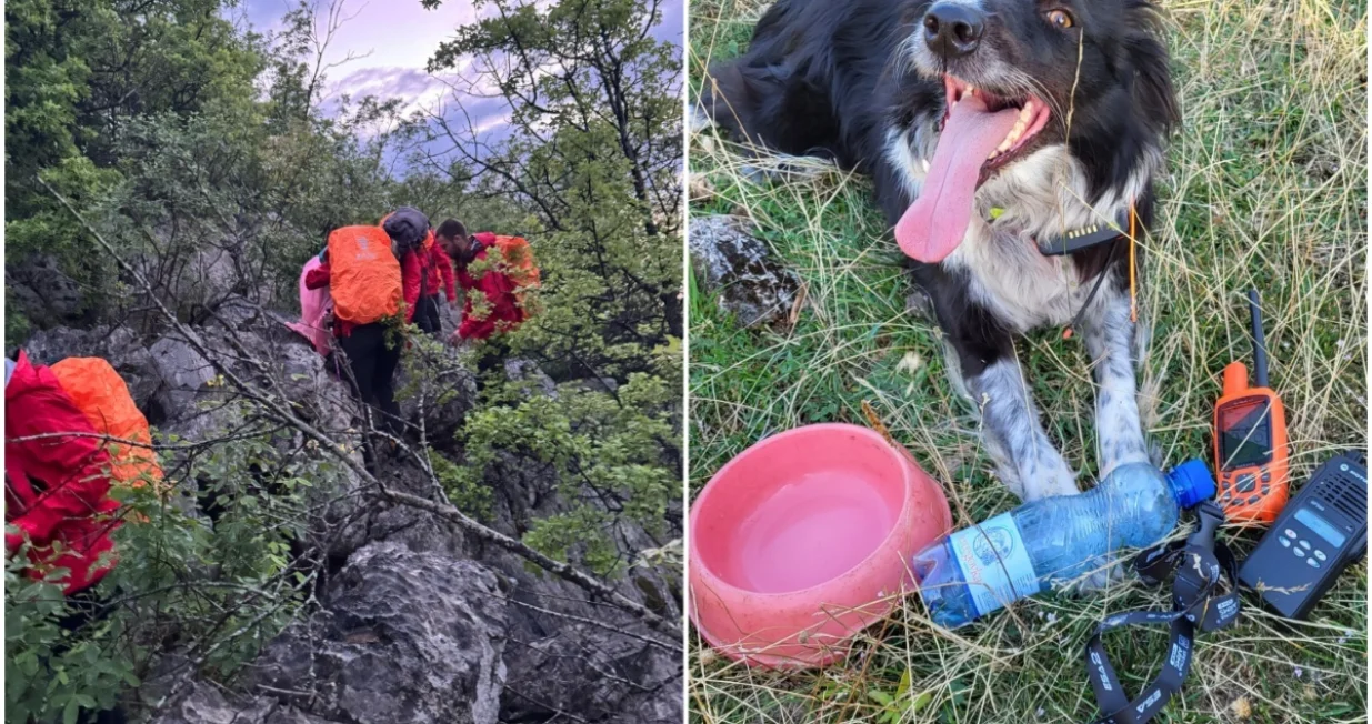 Još jedna uspješna akcija/GSS BiH/Facebook//