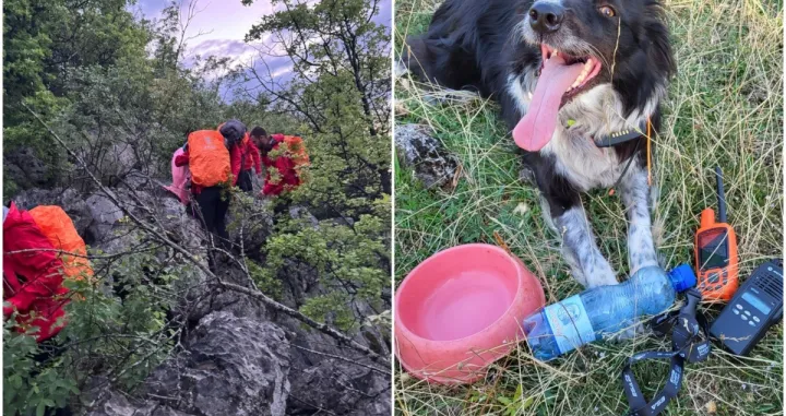 Još jedna uspješna akcija/GSS BiH/Facebook//