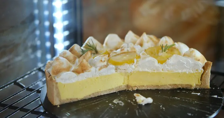 Pita s limunom/Yuliia Dementsova