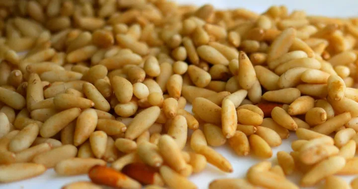 Pinjoli, sjemenke/Leila Issa