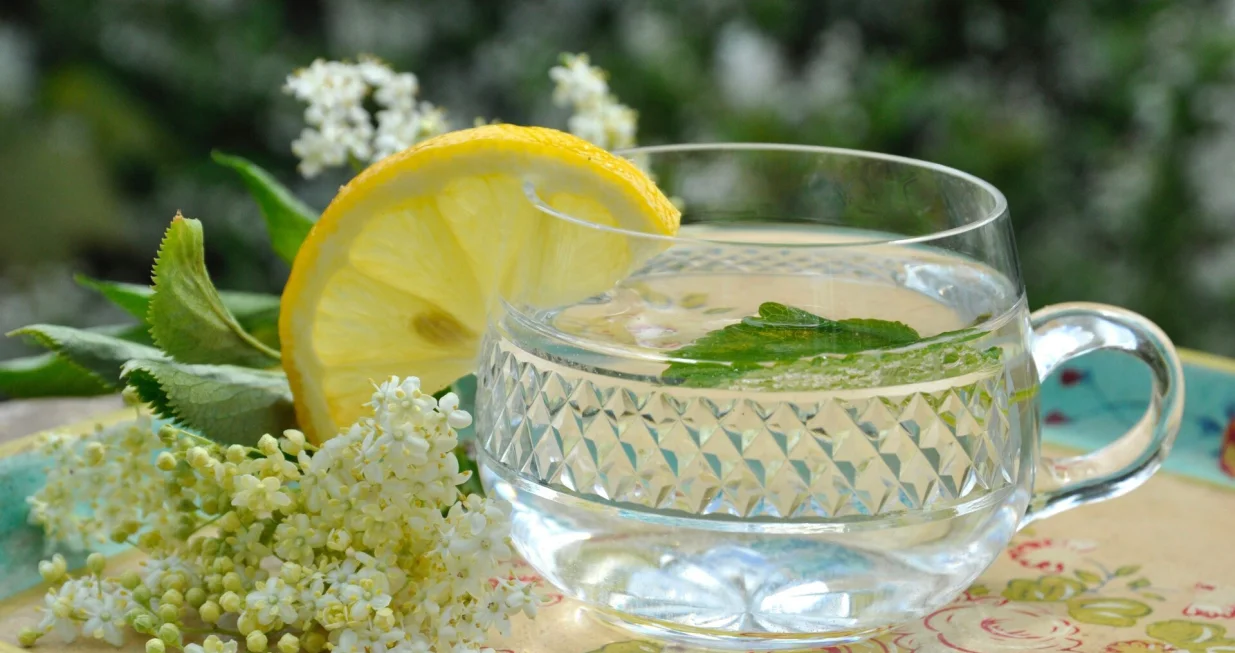 Čaj od zove/Hanne Hoogendam