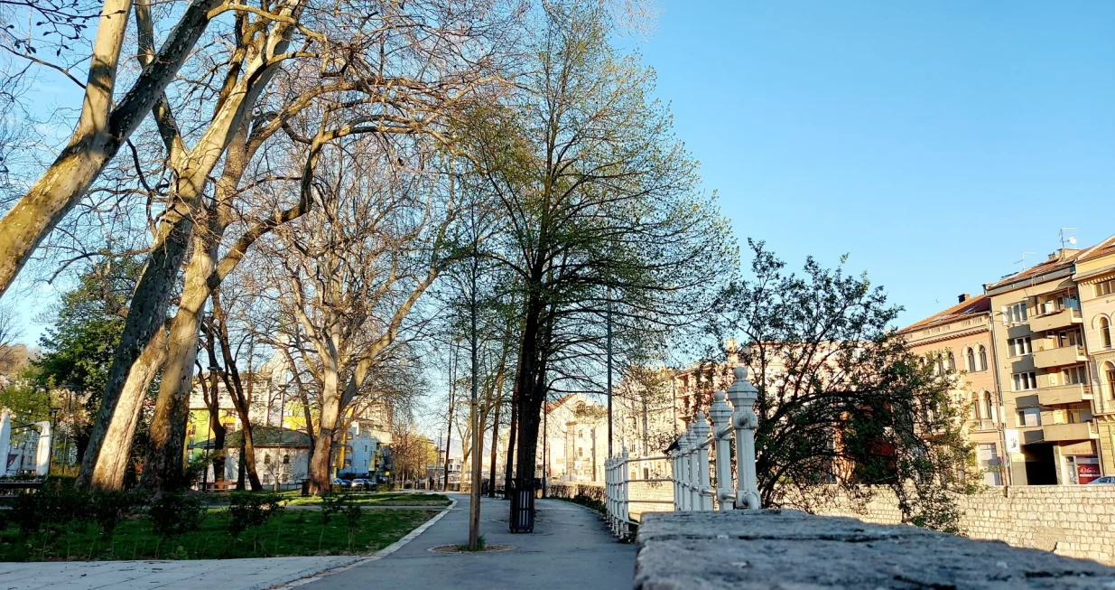 / Lejla Sofradžija/