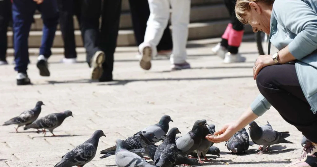 Turisti/Ilustracija/Fena//