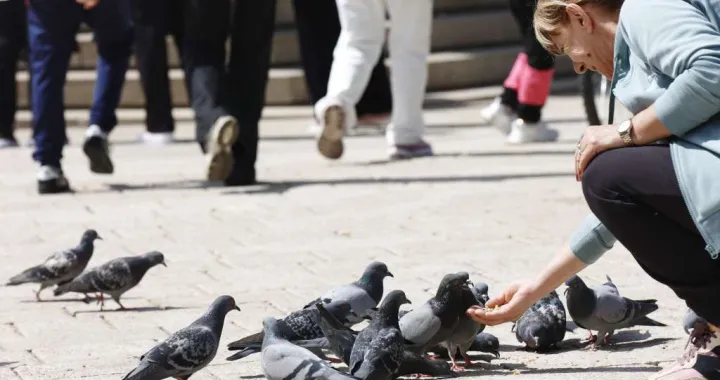 Turisti/Ilustracija/Fena//