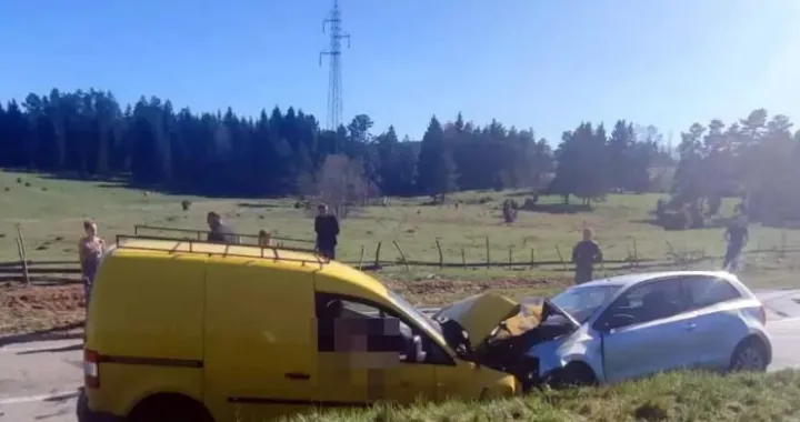 Jezivi prizori sa mjesta nesreće/Srna//