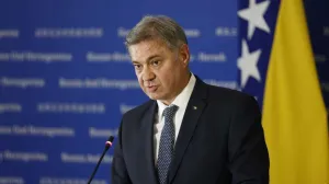 denis zvizdić.jpeg/