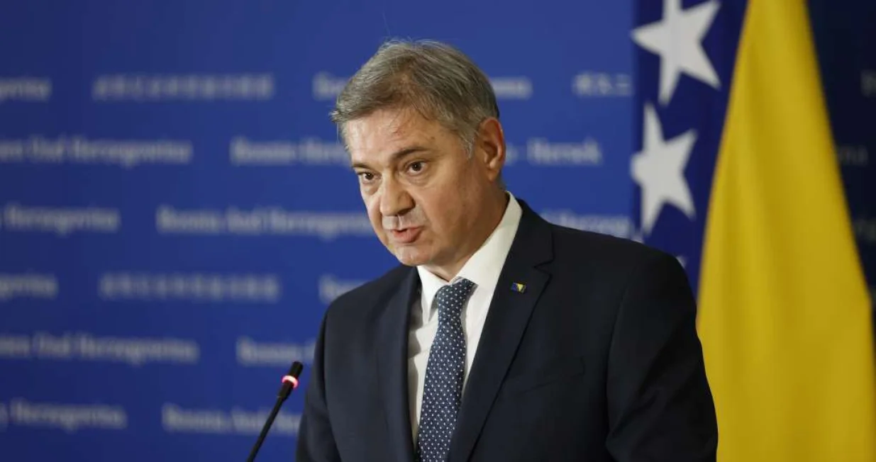 denis zvizdić.jpeg/