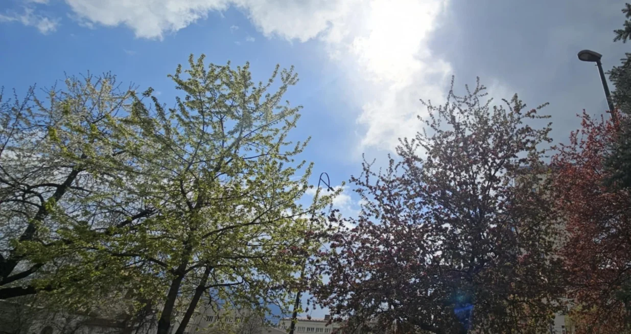 vrijeme, sunce, promjena/Lejla Sofradžija