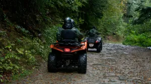 Ilustracija/ Pexels/