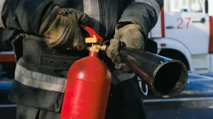 Ilustracija/ Pexels/