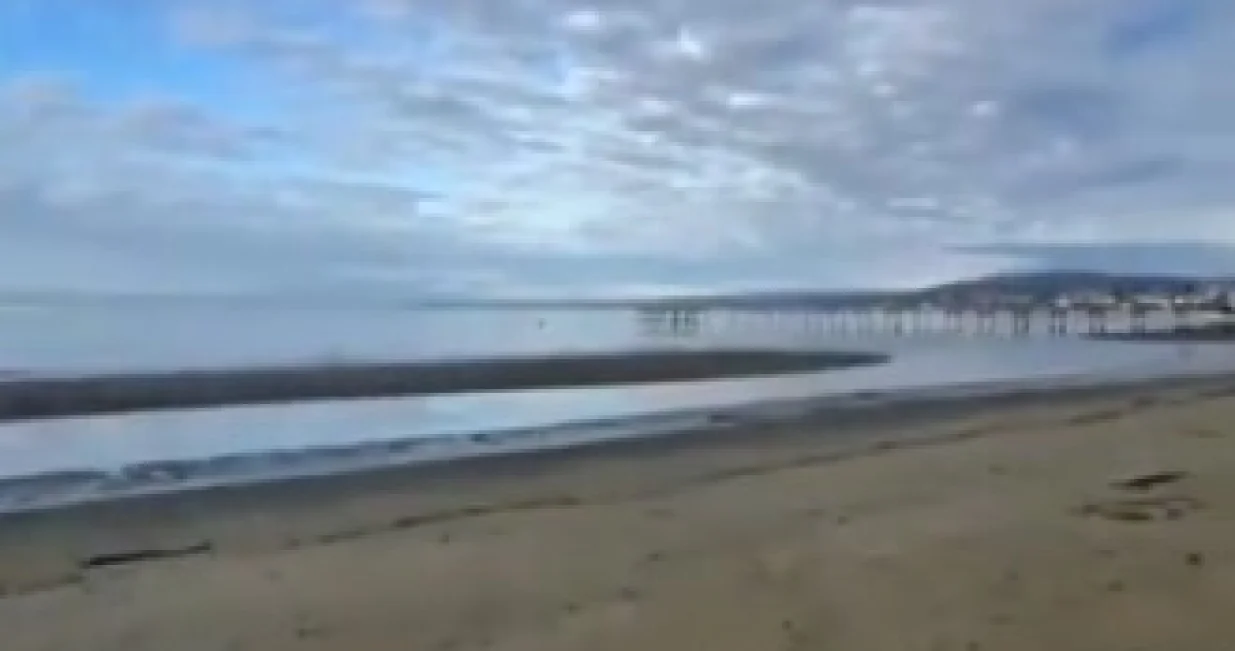 Objavljeni snimci/Printscreen/X.com//