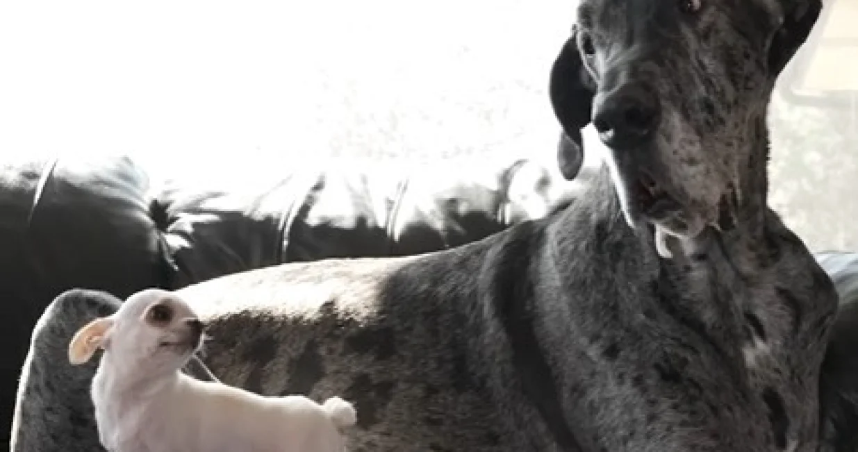 Prijateljstvo iznad svega/Screenshot/instagram