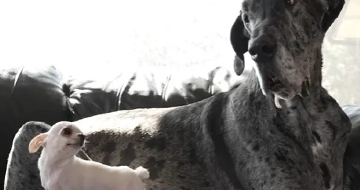 Prijateljstvo iznad svega/Screenshot/instagram