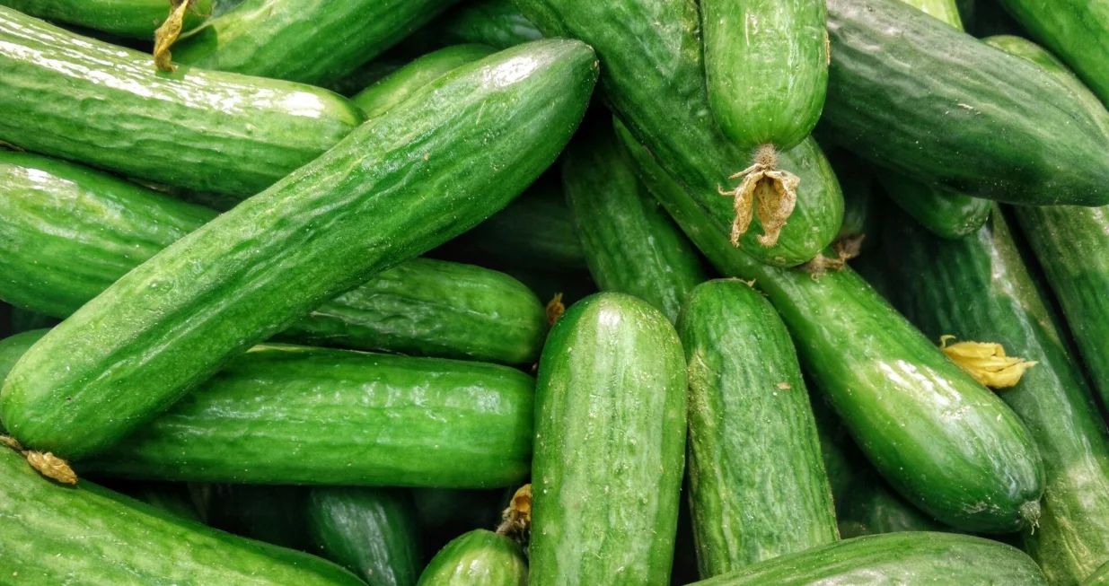 Savjeti za sočne, ne gorke plodove/Unsplash