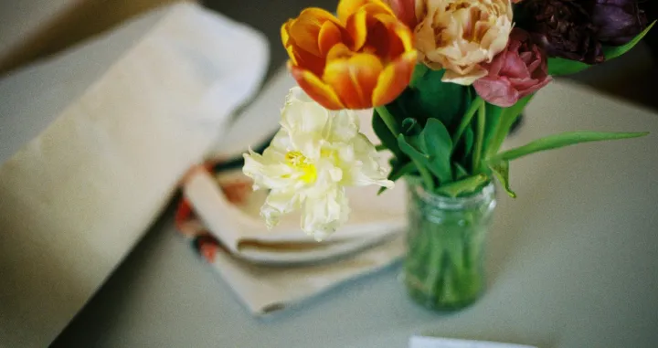 Prirodna 'hrana' za cvijeće/Pexels