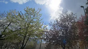 vrijeme, sunce, promjena/Lejla Sofradžija