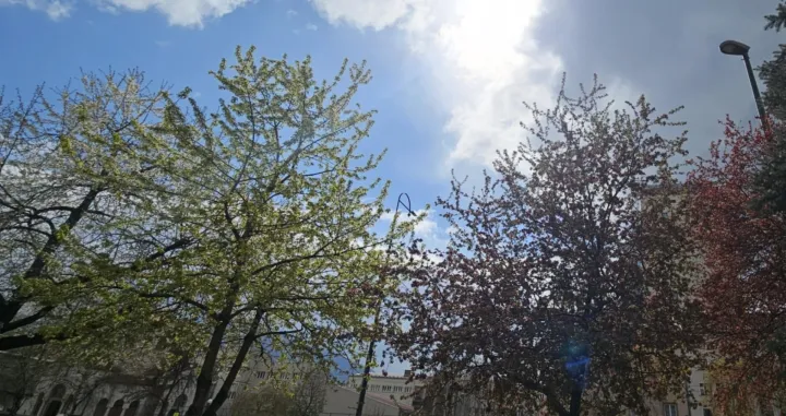 vrijeme, sunce, promjena/Lejla Sofradžija