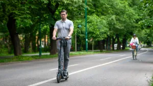 Trintoneti na Vilsonovom/Damir Deljo