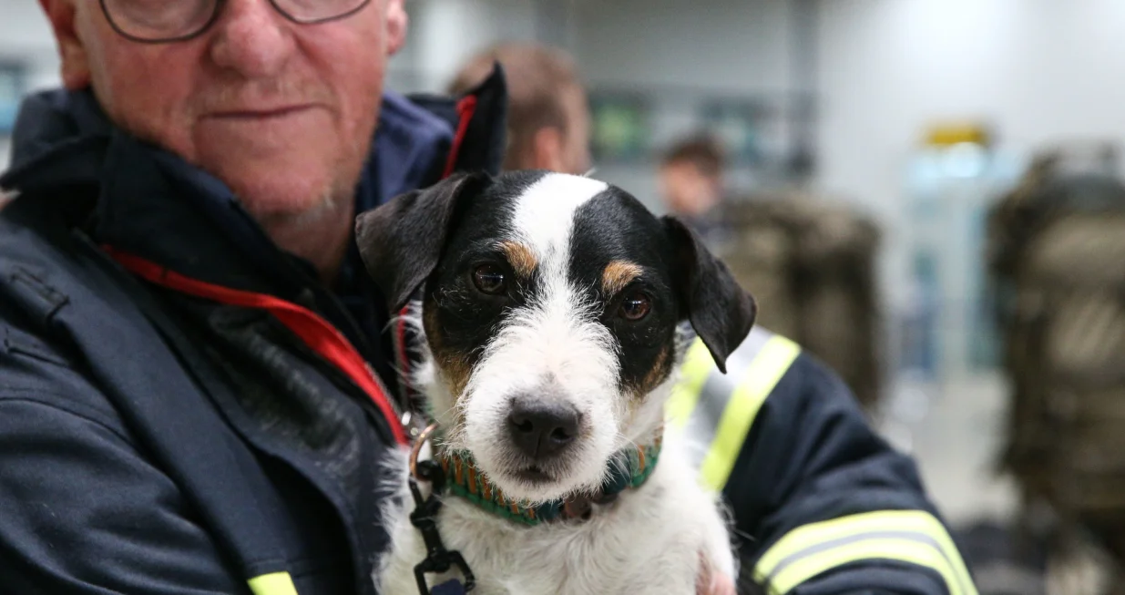 Posebno obučeni psi, koji su uzeli aktivnu ulogu u akcijama traženja i spašavanja nakon razornih zemljotresa u Turkiye, spasili su mnoge živote ispod ruševina (Ozan Efeoğlu - Anadolu Agency)/�