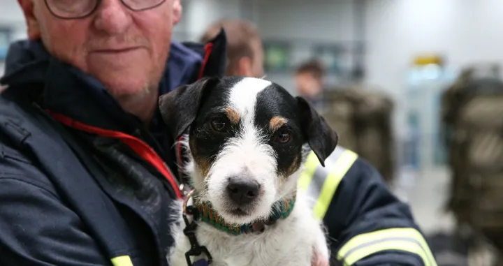 Posebno obučeni psi, koji su uzeli aktivnu ulogu u akcijama traženja i spašavanja nakon razornih zemljotresa u Turkiye, spasili su mnoge živote ispod ruševina (Ozan Efeoğlu - Anadolu Agency)/�