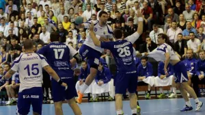 Detalj sa utakmice BiH - Island u Skenderiji 2014. godine