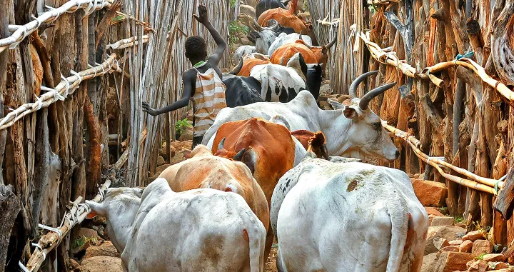 Jurica Galić: Južni Sudan, 2024./