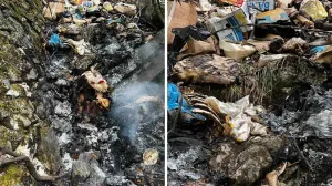 Ružan prizor uz Neretvu/Bučići-mostar