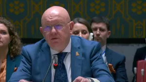 Vasily Nebenzya, vijeće sigurnosti, un, izvještaj o bih, rusija, ruski ambasador/Screenshot
