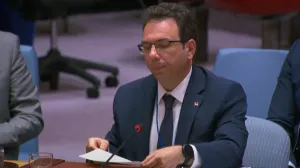 vijeće sigurnosti, un, izvještaj, bih, Radomir Ilić, otpravnik poslova Srbije pri Ujedinjenim nacijama/Screenshot