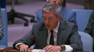 Ambasador Evropske unije pri Ujedinjenim nacijama Stavros Lambrinidis/Screenshot