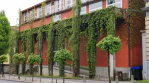 Zgrada obrasla penjačicama/