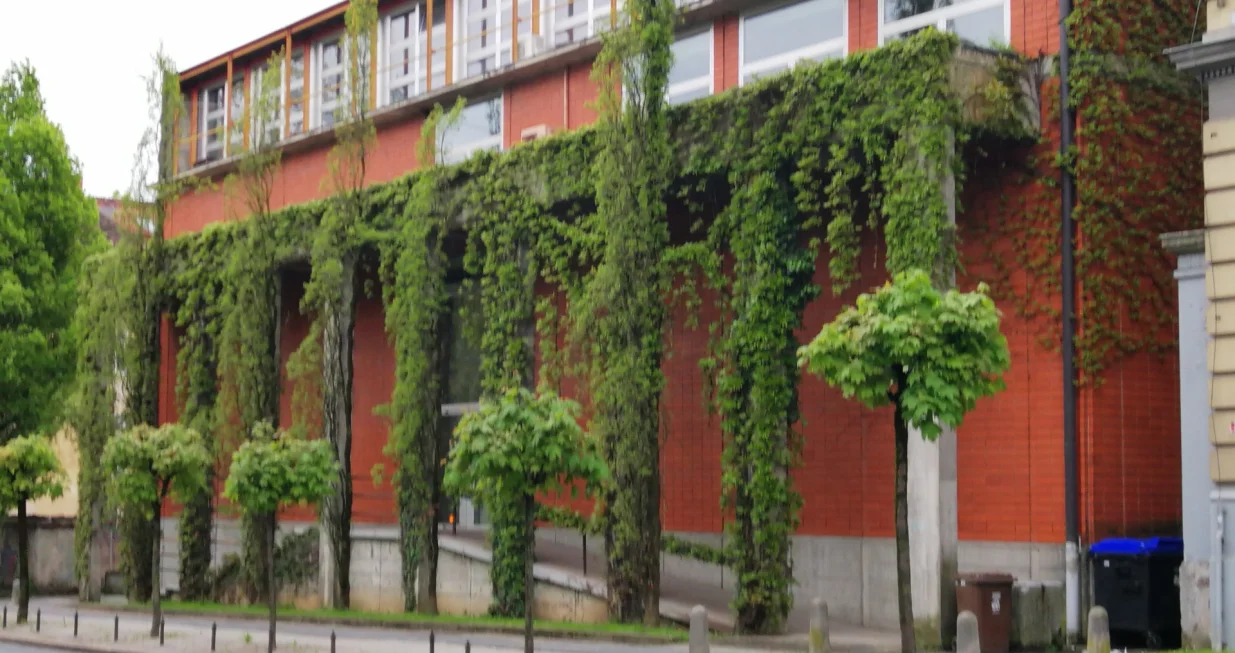 Zgrada obrasla penjačicama/