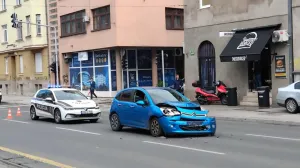 Pričinjena materijalna šteta/Tanja Cerić/