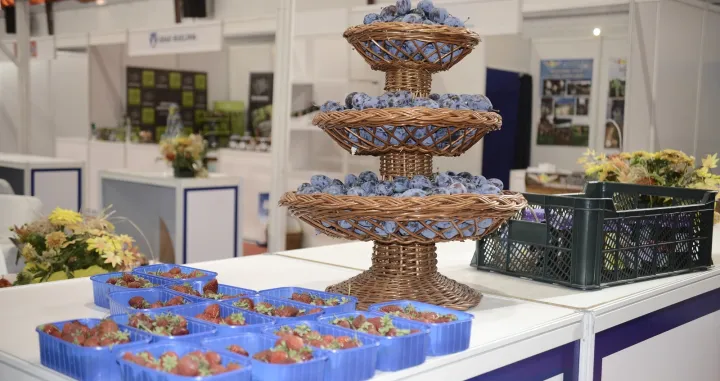 Sajam šljive kraj 49. po redu/