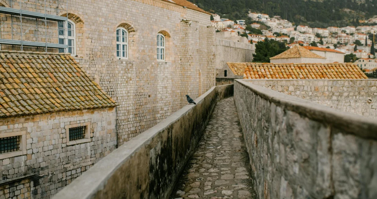 Putovanje kroz stoljeća/Pexels