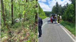 Intervenirali i vatrogasci/VD Ribnik/Facebook/