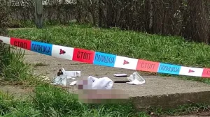 Mjesto gdje se dogodio nemili događaj/Telegraf.rs//