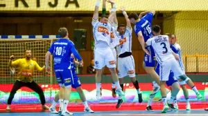 5. kolO kvalifikacija za Evropsko prvenstvo 2026. godine, BiH vs Island