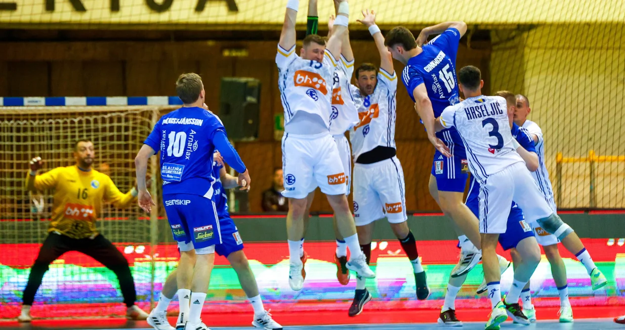 5. kolO kvalifikacija za Evropsko prvenstvo 2026. godine, BiH vs Island