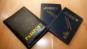 BH pasoši ilustracije/Damir Deljo