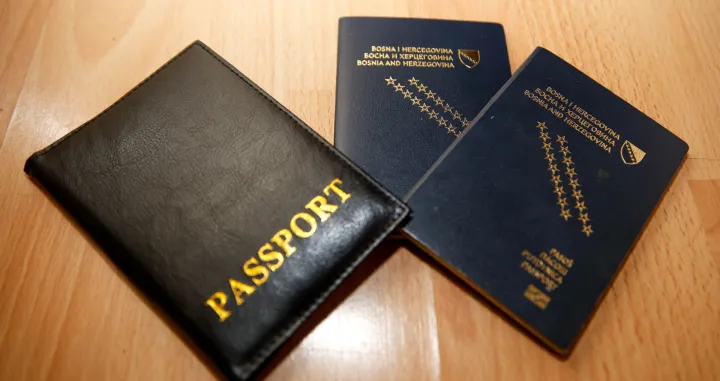 BH pasoši ilustracije/Damir Deljo