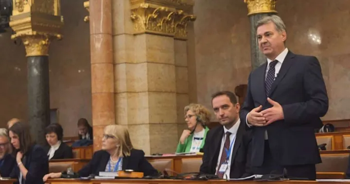 Zvizdić u Budimpešti/Ps Bih