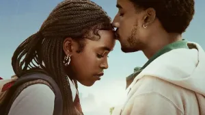 Serija je osvojila brojne ljubitelje Netflixa/Instagram/@theblkscript 