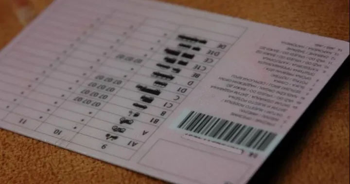 vozačka dozvola BiH/Fena