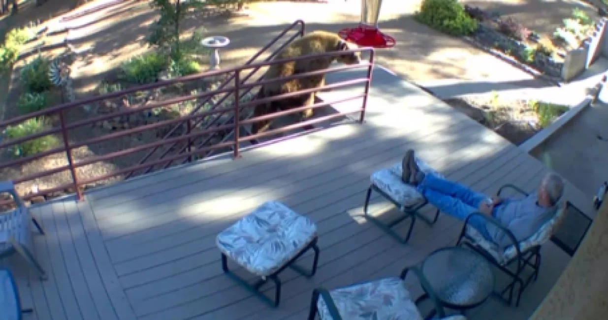 Čovjek i medvjed/Vic_pooch