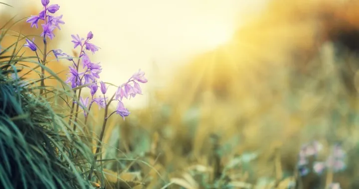 promjene vremena ilustracija/